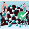Metenolone acetate: safe alternative for performance enhancement