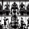 Sintol: the secret of successful bodybuilders