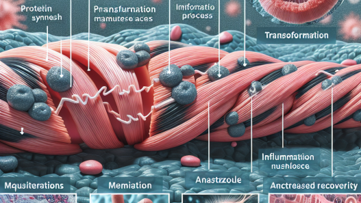 Anastrozole effects on post-workout muscle recovery